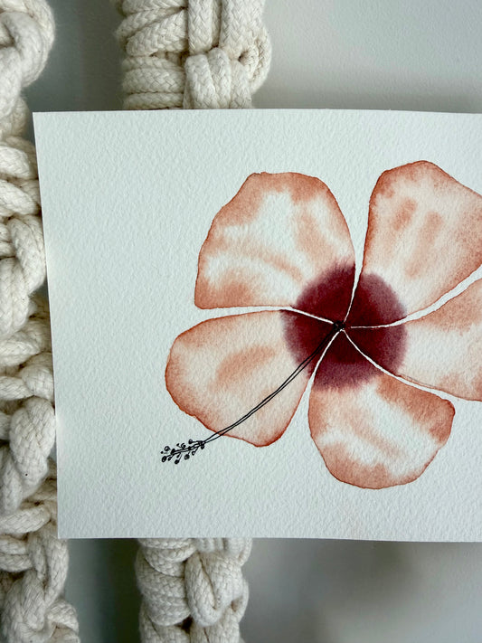 Island Hibiscus