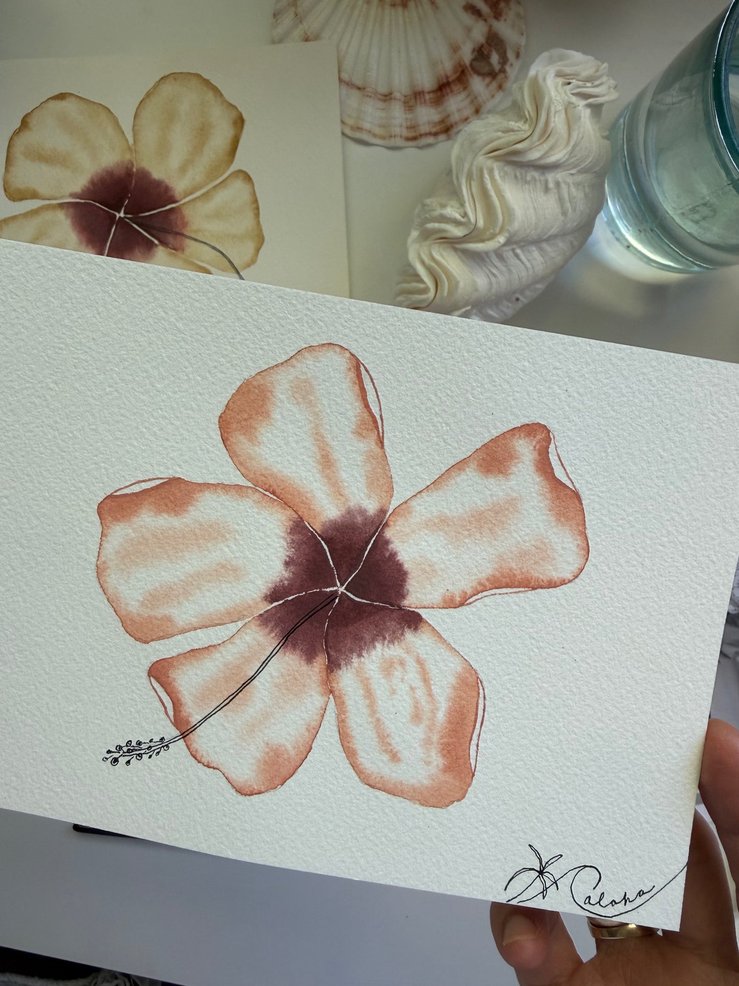 Heirloom Hibiscus