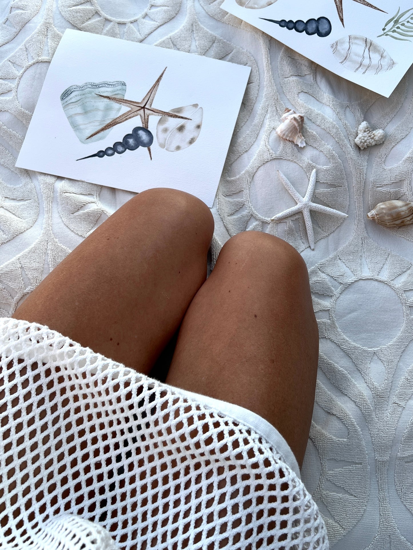 Seashell Watercolor Original Art