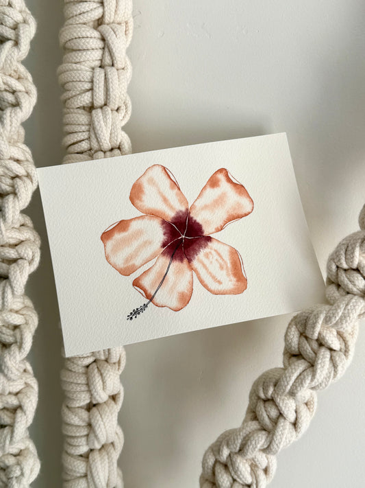 Heirloom Hibiscus