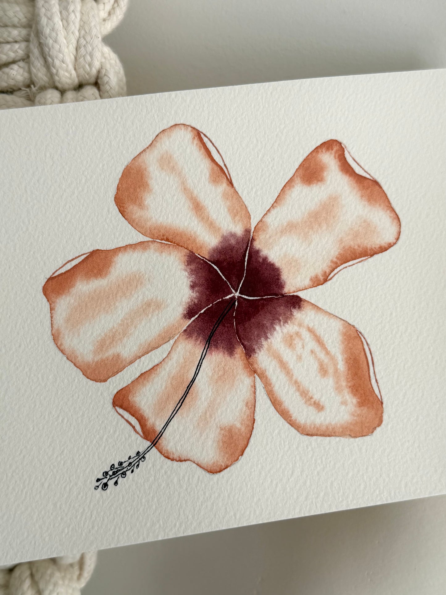 Heirloom Hibiscus