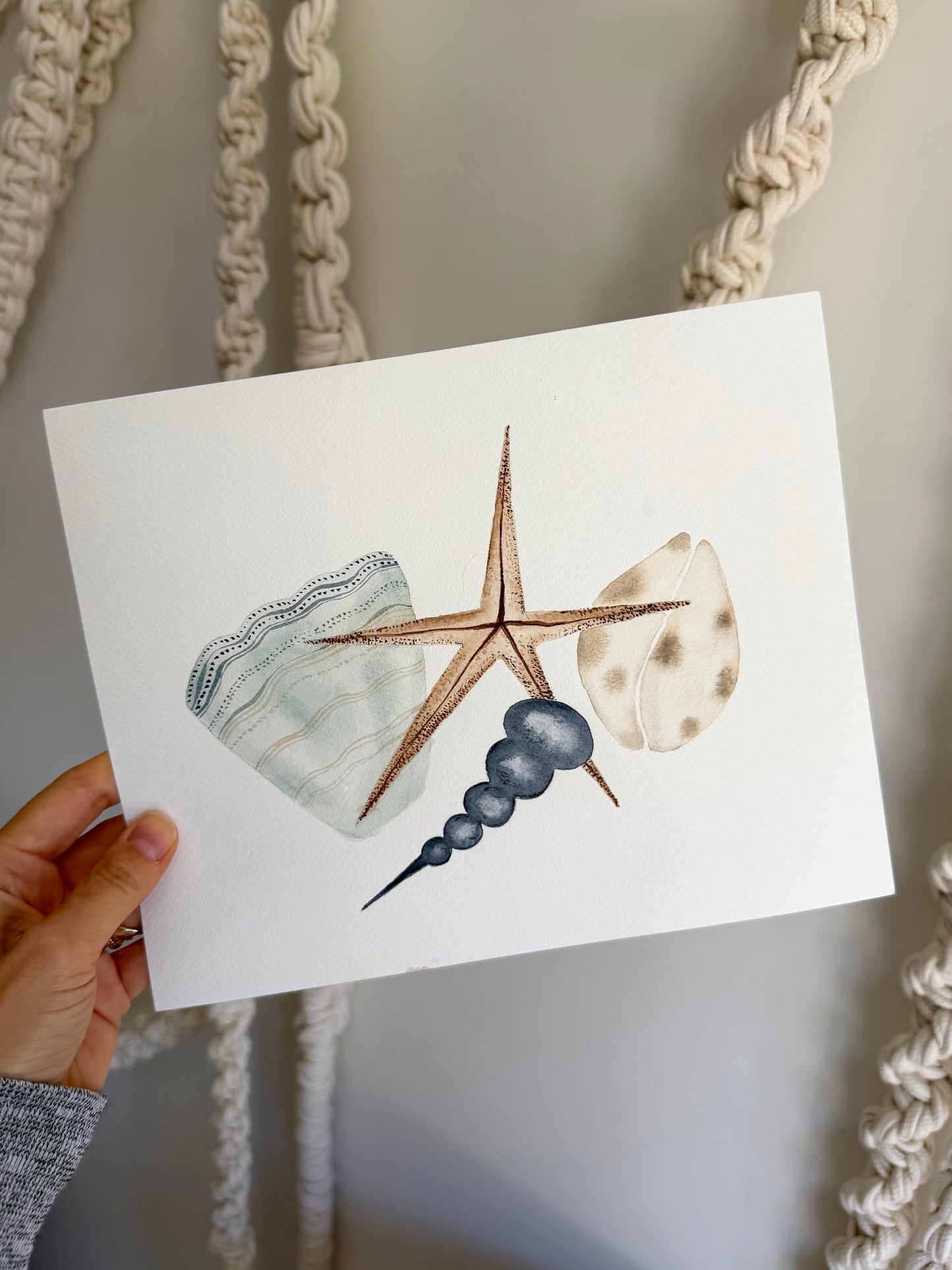 Seashell Watercolor Original Art