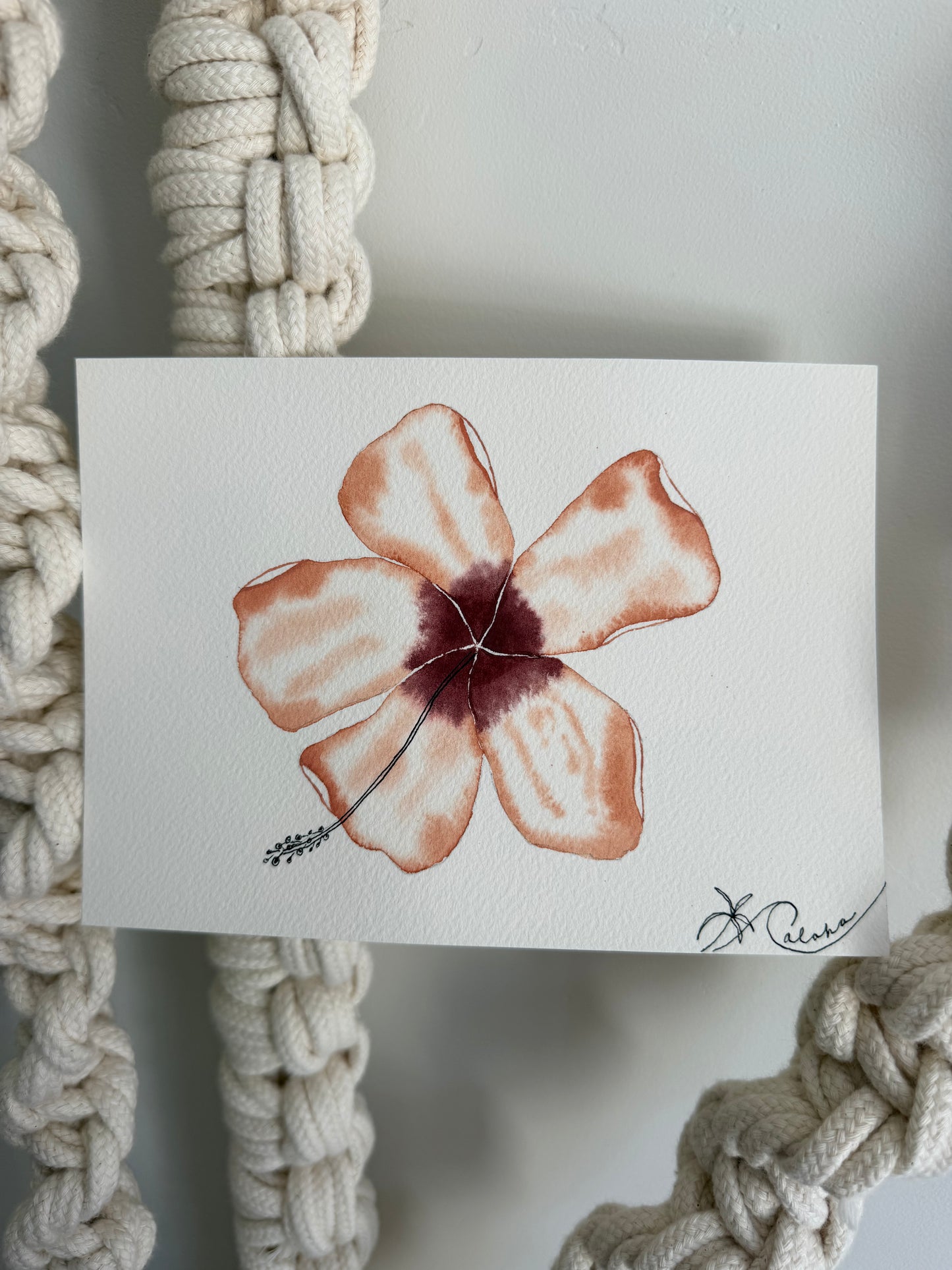 Heirloom Hibiscus