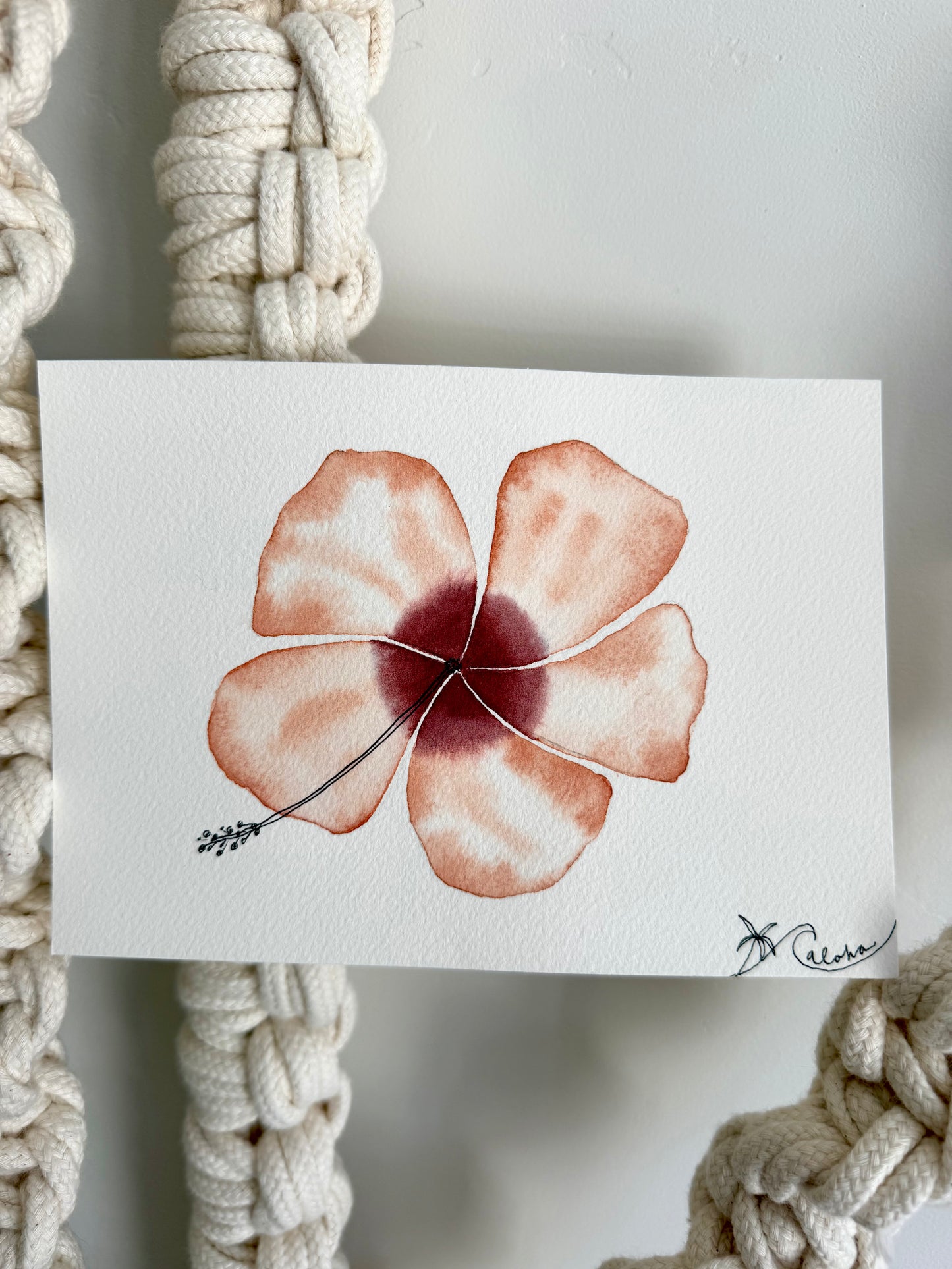 Island Hibiscus