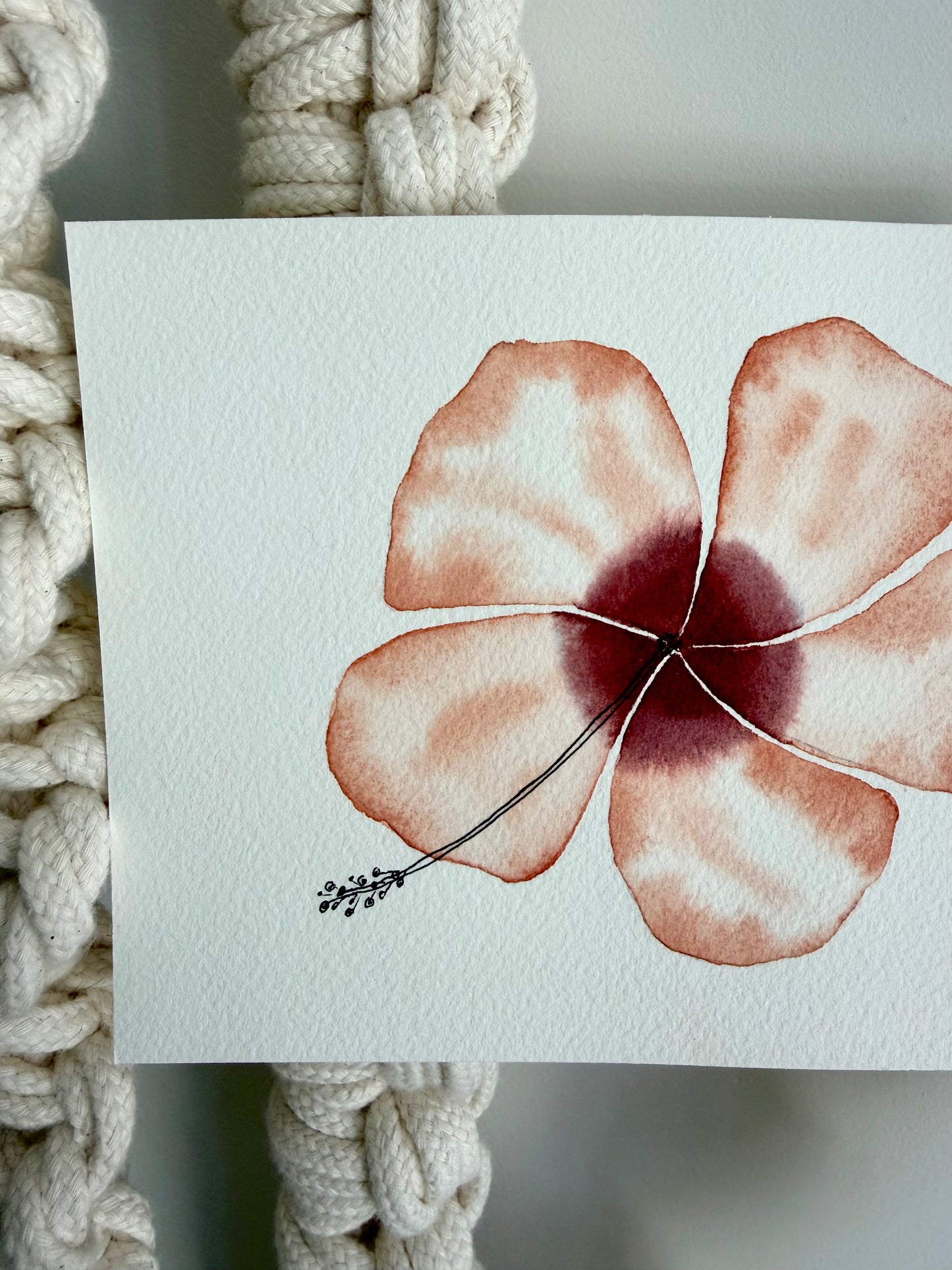 Island Hibiscus