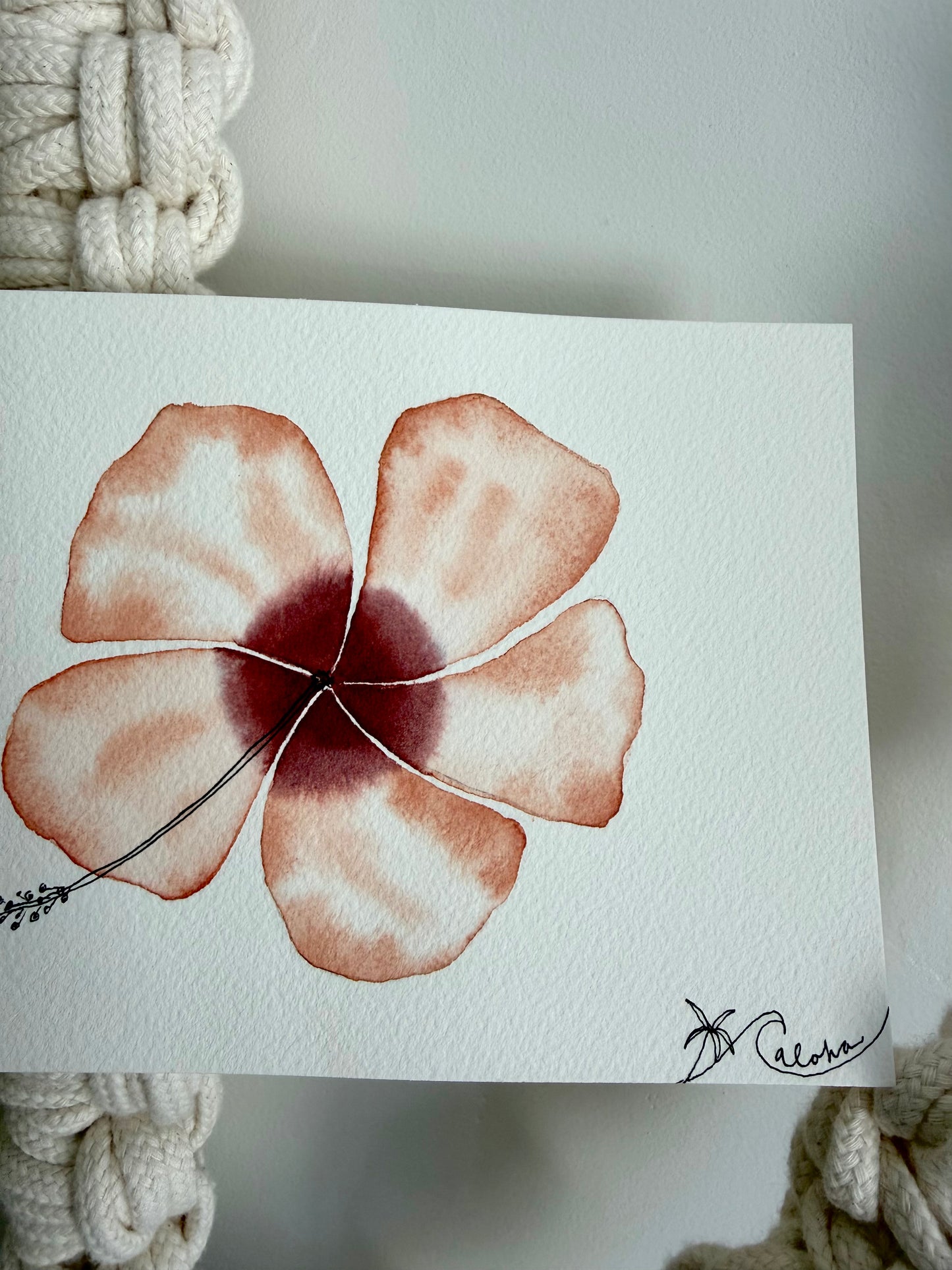 Island Hibiscus