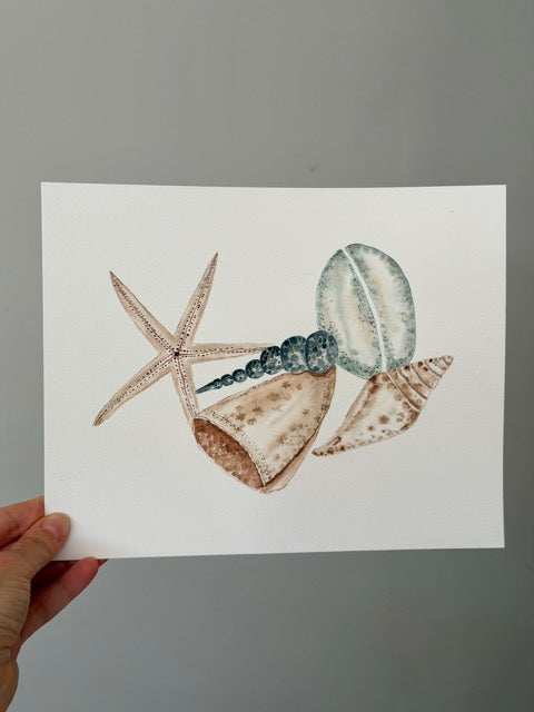 Seashell 2 Watercolor Original Art
