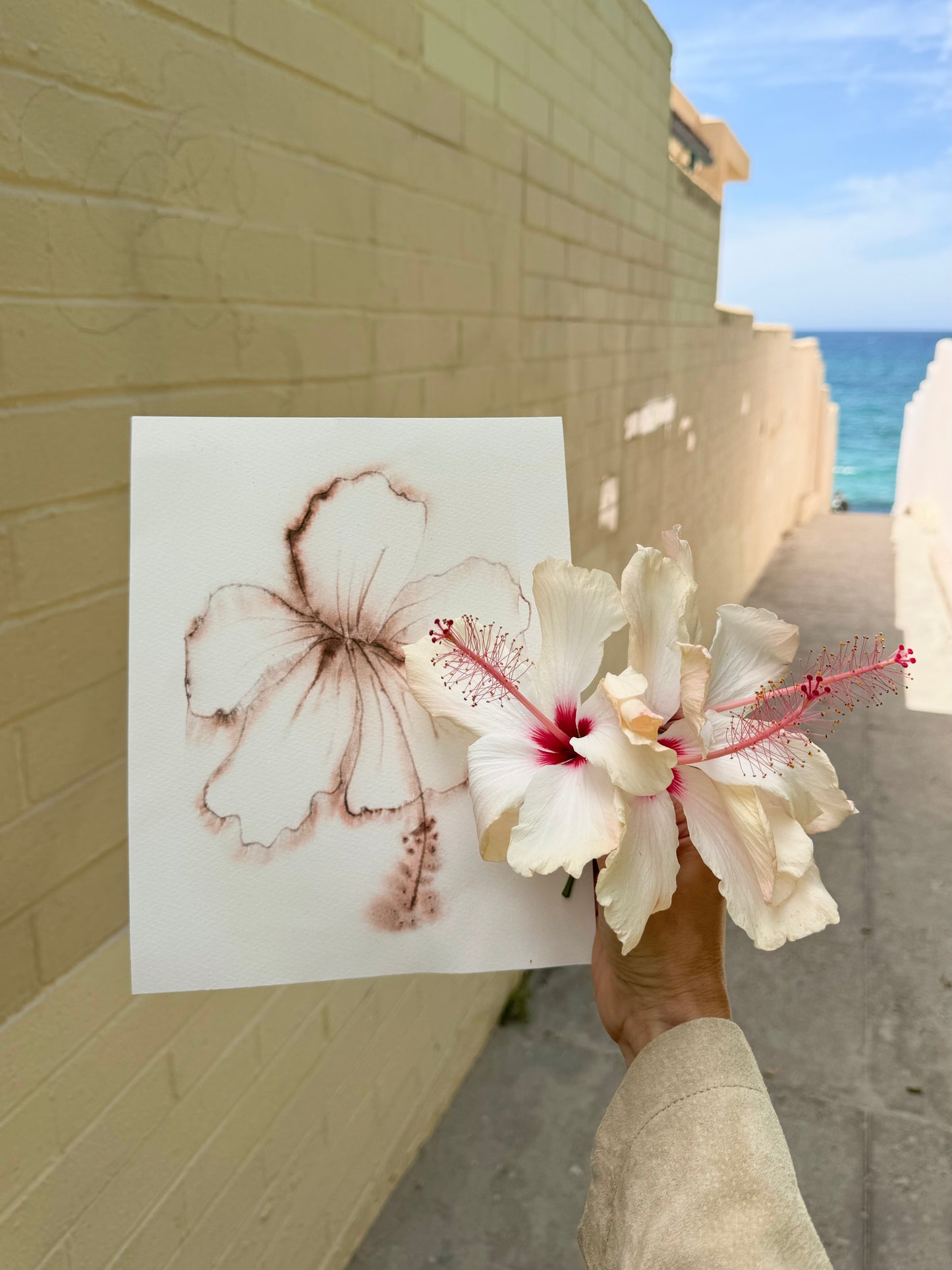 Vintage Hibiscus art print