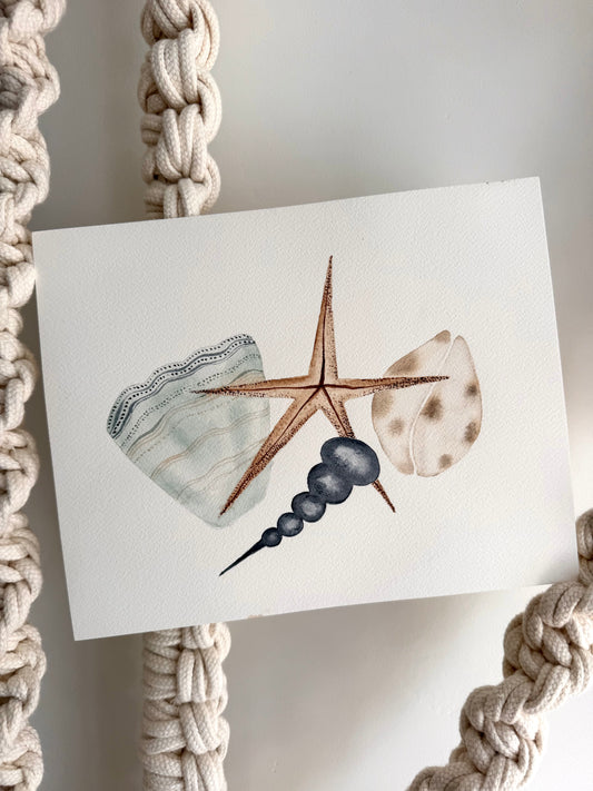 Seashell Watercolor Original Art