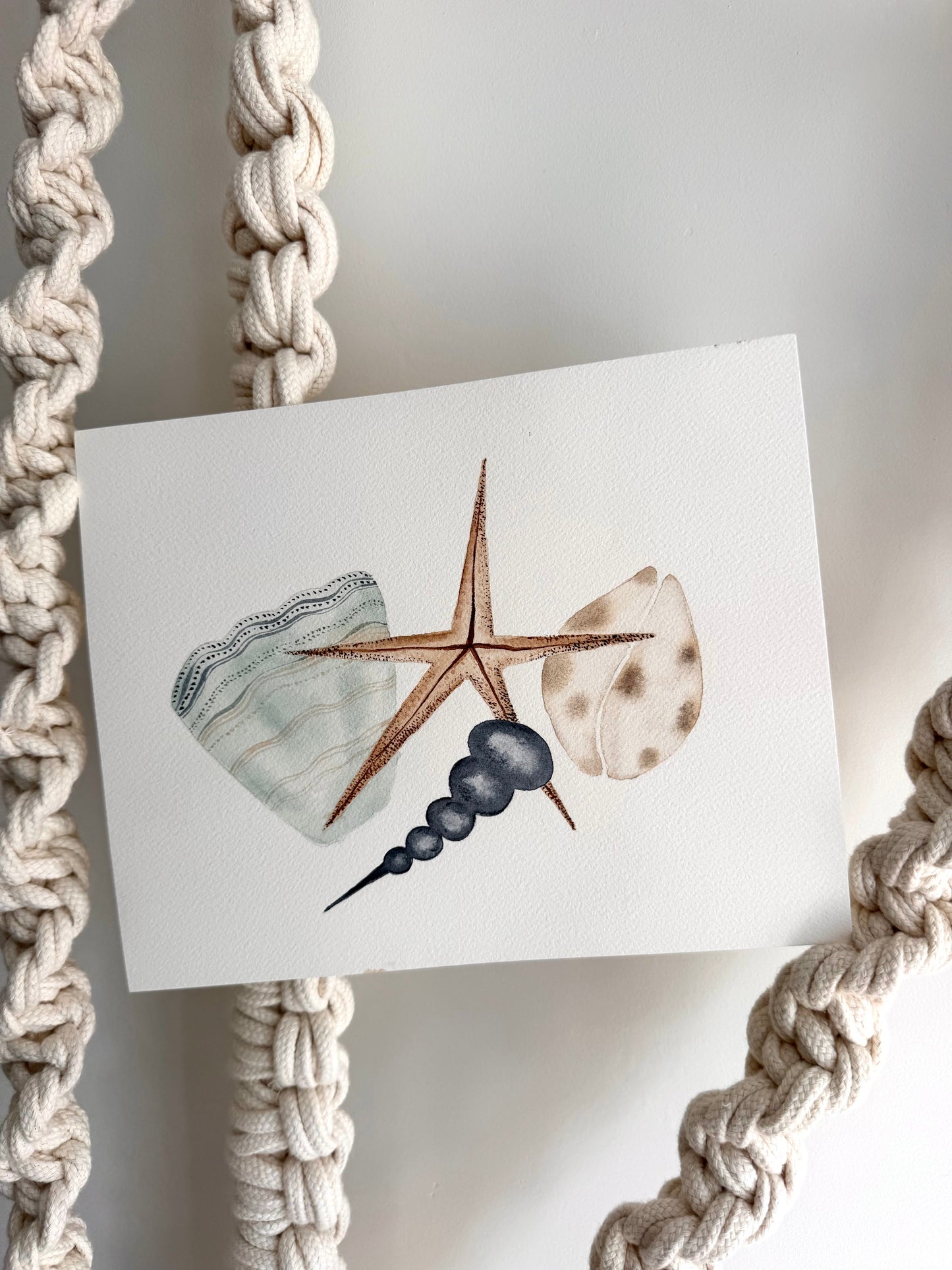 Seashell Watercolor Original Art